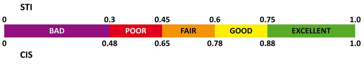 STI-CIS-scale